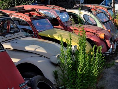 Planet Auto Wholesale, Rancho Cordova, California