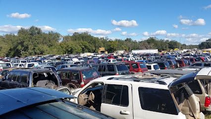 Lady Lake Auto Salvage, Lady Lake, Florida